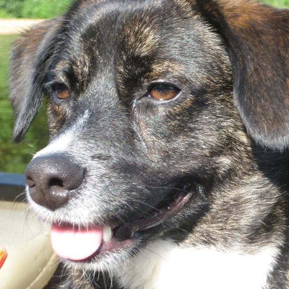 Meet your Posher, Joanne - Picture 1 of 1